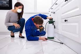 Best Pest Prevention Services  in Al Creek, CO